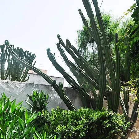 Il Giardino Di Bonagia Villa
