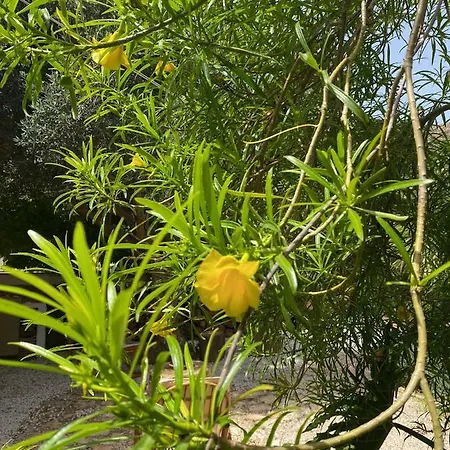 Il Giardino Di Bonagia Villa Tonnara di Bonagia