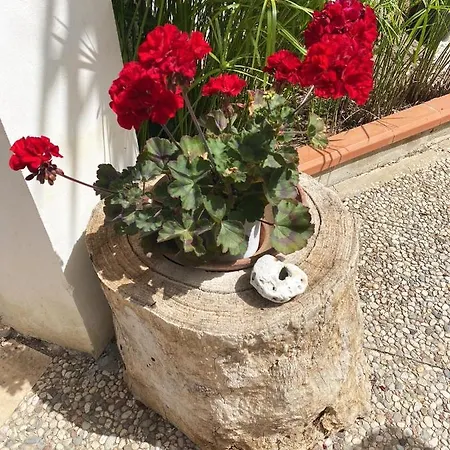 Villa Il Giardino Di Bonagia